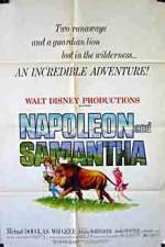 Watch Napoleon and Samantha Zumvo