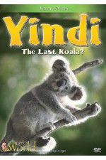 Watch Yindi the Last Koala Zumvo