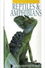 Watch Reptiles and Amphibians Zumvo