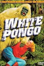 Watch White Pongo Zumvo