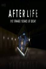 Watch After Life: The strange Science Of Decay Zumvo