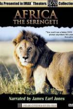 Watch Africa The Serengeti Zumvo