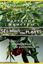 Watch National Geographic Wild: Sex Drugs and Plants Zumvo