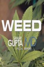 Watch CNN Weed Sanjay Gupta Report Zumvo