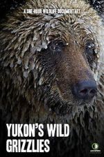 Watch Yukon\'s Wild Grizzlies Zumvo