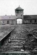 Watch AUSCHWITZ: FRENZIED KILLING Zumvo