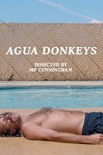 Watch Agua Donkeys Zumvo