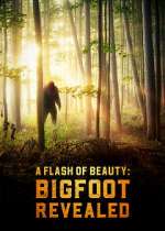 Watch A Flash of Beauty: Bigfoot Revealed Zumvo