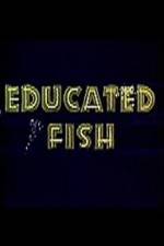 Watch Educated Fish Zumvo