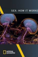 Watch Sex How It Works Zumvo