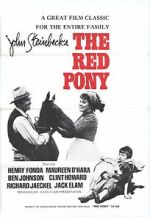 Watch The Red Pony Zumvo