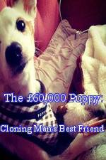 Watch The 60,000 Puppy: Cloning Man's Best Friend Zumvo