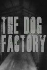 Watch The Dog Factory Zumvo