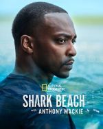 Watch Shark Beach with Anthony Mackie Zumvo