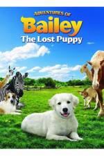 Watch Adventures of Bailey The Lost Puppy Zumvo