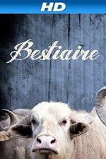 Watch Bestiaire Zumvo