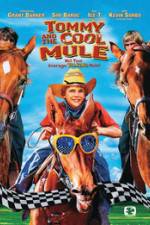Watch Tommy and the Cool Mule Zumvo