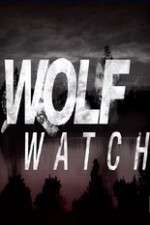 Watch Wolf Watch Zumvo