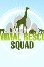 Watch Animal Rescue Squad Zumvo