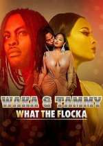 Watch Waka & Tammy: What the Flocka Zumvo