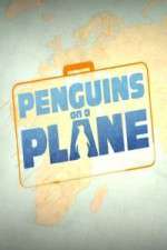 Watch Penguins on a Plane Zumvo