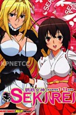 Watch Sekirei Zumvo