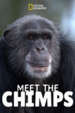 Watch Meet the Chimps Zumvo