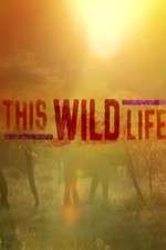 Watch This Wild Life Zumvo