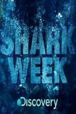 Watch Shark Week Zumvo