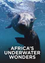 Watch Africa's Underwater Wonders Zumvo