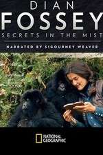 Watch Dian Fossey: Secrets in the Mist Zumvo