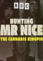 Watch Hunting Mr Nice: The Cannabis Kingpin Zumvo