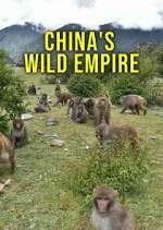 Watch China's Wild Empire Zumvo