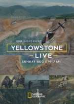 Watch Yellowstone Live Zumvo