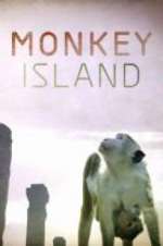 Watch Monkey Island Zumvo