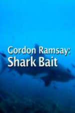 Watch Gordon Ramsay: Shark Bait Zumvo