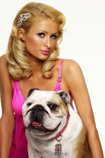 Watch Paris Hilton's British Best Friend Zumvo