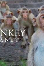 Watch Monkey Planet Zumvo