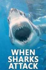 Watch When Sharks Attack Zumvo