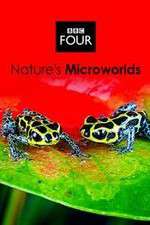 Watch Natures Microworlds Zumvo