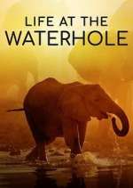 Watch Life at the Waterhole Zumvo