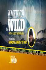 Watch America the Wild Zumvo