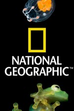 Watch Nat Geo Amazing! Zumvo