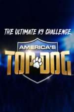 Watch America\'s Top Dog Zumvo