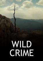 Watch Wild Crime Zumvo