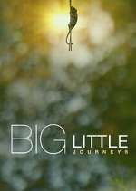 Watch Big Little Journeys Zumvo