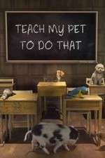 Watch Teach My Pet to Do That Zumvo