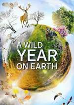 Watch A Wild Year on Earth Zumvo