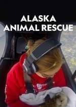 Watch Alaska Animal Rescue Zumvo