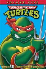 Watch Teenage Mutant Ninja Turtles Zumvo